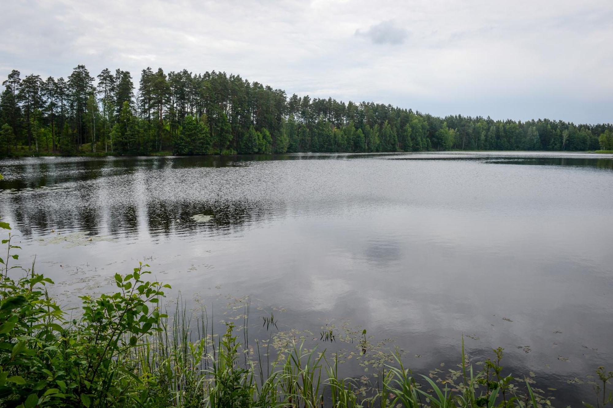Alberta Diki Upesciems 部屋 写真